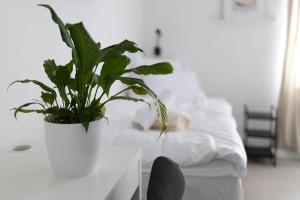 Φωτογραφία από το άλμπουμ του Hotel Sport Houštka 