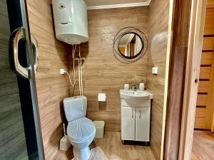 a bathroom with a toilet and a sink and a mirror at Dimira Котедж з басейном in Slavske +16 photos