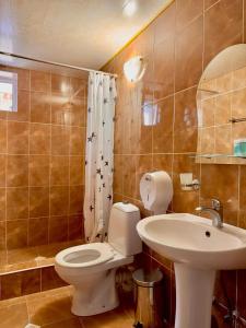 バクリアニにあるHotel Icebergのトイレと洗面台付きのバスルーム