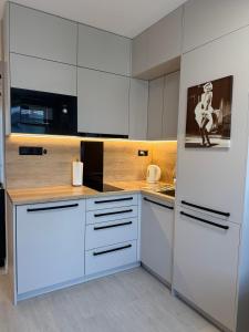 Η κουζίνα ή μικρή κουζίνα στο Krivá Apartment