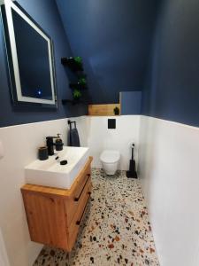 a bathroom with a sink and a toilet at Na Skraju - Pogorzelica - Domki Rekreacyjne lokal D in Pogorzelica +16 photos