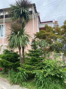 Giardino di Ana House