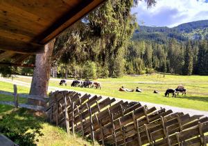 Naturlandschaft in der Nähe des Chalets