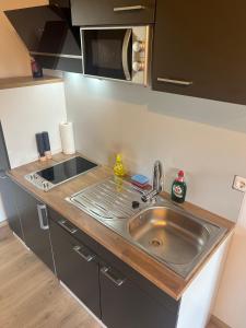 a kitchen with a stainless steel sink and a microwave at Ferienzimmer Moller in Kolitzheim