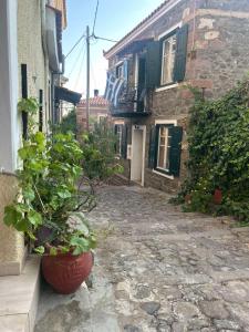 an alley with pots of plants on the side of a building at Alley Home in Mithymna +6 photos