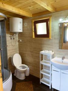 a bathroom with a toilet and a sink at Domki Balos in Karwia +31 photos