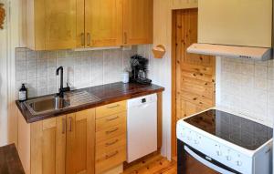 a kitchen with wooden cabinets and a sink at 2 Bedroom Nice Home In Hafjell in Hafjell