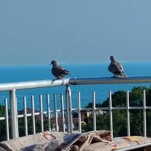 Balkón nebo terasa v ubytování apartment VANESA