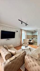 a living room with couches and a flat screen tv at Dragan Luxury Apartments in Podgorica