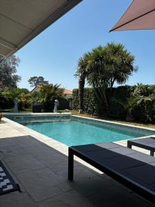 a swimming pool with a bench and palm trees at Superbe villa 6 personnes proche océan et lac in Linxe