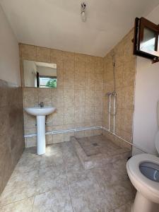 a bathroom with a sink and a shower and a toilet at Camping mery in Murighiol
