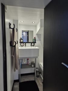 ein Badezimmer mit einem weißen Waschbecken und einem Spiegel in der Unterkunft Secret Bunker at Vikings Forge in Bury Saint Edmunds