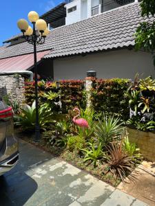 a pink flamingo in a garden in front of a house at Villa caribe phu quoc in Phu Quoc +6 photos
