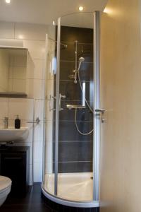 a shower with a glass door in a bathroom at Ferienhaus Borneich in Schwalbach