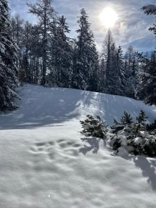 a snow covered hill with trees and the sun in the background at Mountain View perfect retreat in Crans in Lens