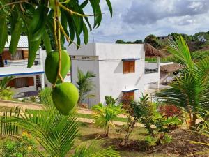 Ein Gebäude, an dem ein Strauß grüner Mangos an einem Baum hängt in der Unterkunft Mango Eden Hotel in Nosy Be