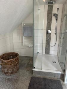 a bathroom with a shower with a glass door at Kerstins Lieblingsdomizil in Oelsnitz