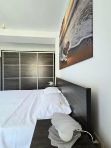 Postel nebo postele na pokoji v ubytování Amira Apartament