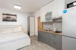 Kuchyň nebo kuchyňský kout v ubytování Apartment UGA