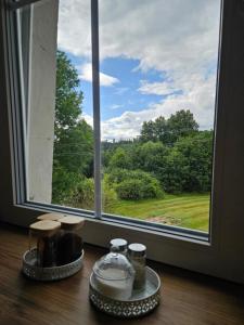 Naturlandskabet i nærheden af lejligheden