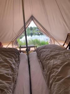 a tent with two beds in it with a view at Glampingtelt i fjordkanten, Rønlund Hyttepark in Ron