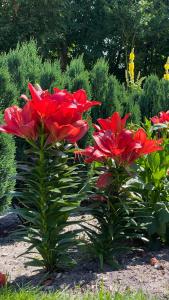 Imagen de la galería de luxury apartment Curchi 2, en Billund