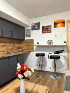 Η κουζίνα ή μικρή κουζίνα στο Nest Apartments - City Center