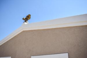 an eagle perched on top of a building at Anestis Apartments in Kontokali