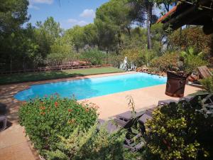 a swimming pool in a yard with some plants at EL PUEBLO III -venga al pueblo- in Calañas
