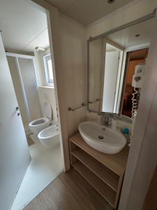 un bagno con lavandino e WC di Mobile Home RUŽMARIN a Sveti Juraj