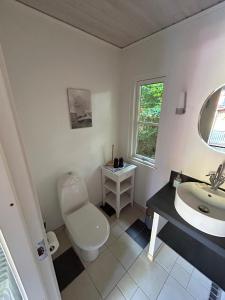 a bathroom with a toilet and a sink at Magical hide-away in the forest in Trensum