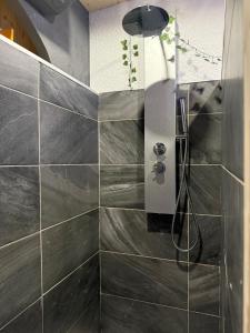 Koupelna v ubytování Appartement avec Jaccuzi & Jardin + 12 fotografií