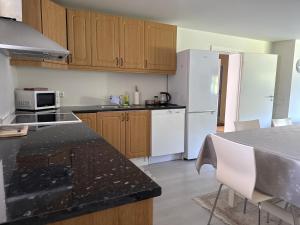 Η κουζίνα ή μικρή κουζίνα στο Central apartment, 10 min near Pulpitrock