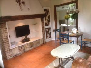 a living room with a tv on a brick fireplace at Charmante Petite Maison dans le Jardin in Letteguives