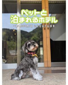 Κατοικίδιο ή κατοικίδια επισκεπτών που μένουν στο Farm Garden Hotel