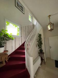 a staircase in a house with red carpet and a window at Stadtvilla-Apartment mit Parkblick und bester Verkehrsanbindung in Bremerhaven