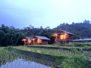 two houses in a rice field with lights on them at บ้านพักป้าซู อินทนนท์ in Ban Yang
