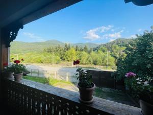 a balcony with potted plants and a view of a road at Guest House Raisa in Dilijan