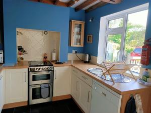a kitchen with a stove and a blue wall at Flo's Cottage self-catering in Newark-on-Trent