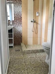 un bagno con doccia, wc e lavandino di Babylonia Resort a Costinesti Altre 38 foto
