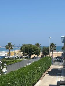 バルレッタにあるMelo's Suitesのヤシの木が茂る浜辺の歩道
