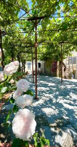 Φωτογραφία από το άλμπουμ του The Tuscany Rose στην Πιστόια +26 φωτογραφίες