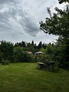 een park met een bank in het midden van een veld bij Blockhaus Mirabella in Sankt Englmar +42 foto's