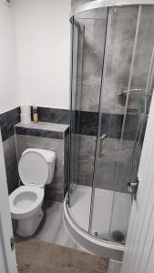 a bathroom with a toilet and a shower at Luxurious ensuite rooms in Basildon