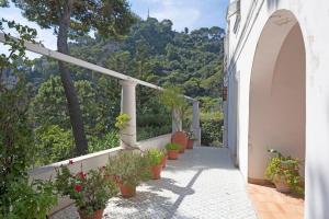 a walkway with potted plants on the side of a building at Elegant Capri Villa with Garden, Sea Access and Panoramic Terrace in Capri