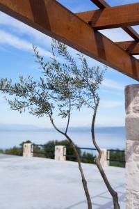 a small tree in front of a building at Queen Bee Luxury Villa- Sparto in Spárton