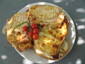 Galeriebild der Unterkunft Family Hotel Regina in Targowischte