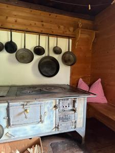 Gallery image of Maxerhütte auf der Alfenalm in Innervillgraten +8 photos