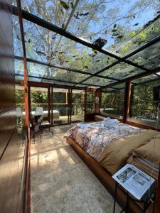 a bedroom with a large bed in a glass house at Hospedaje Curiquindi - Mindo Eco Lodge in Mindo +45 photos
