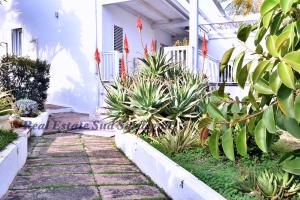 a walkway in front of a white house with plants at Villa Virginia in Sarroch